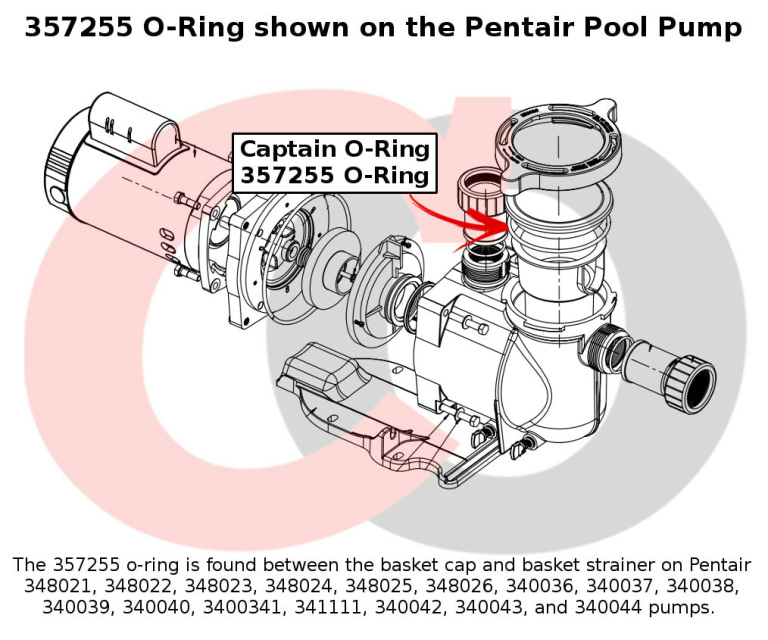 33 Pentair Pool Pump Parts Diagram