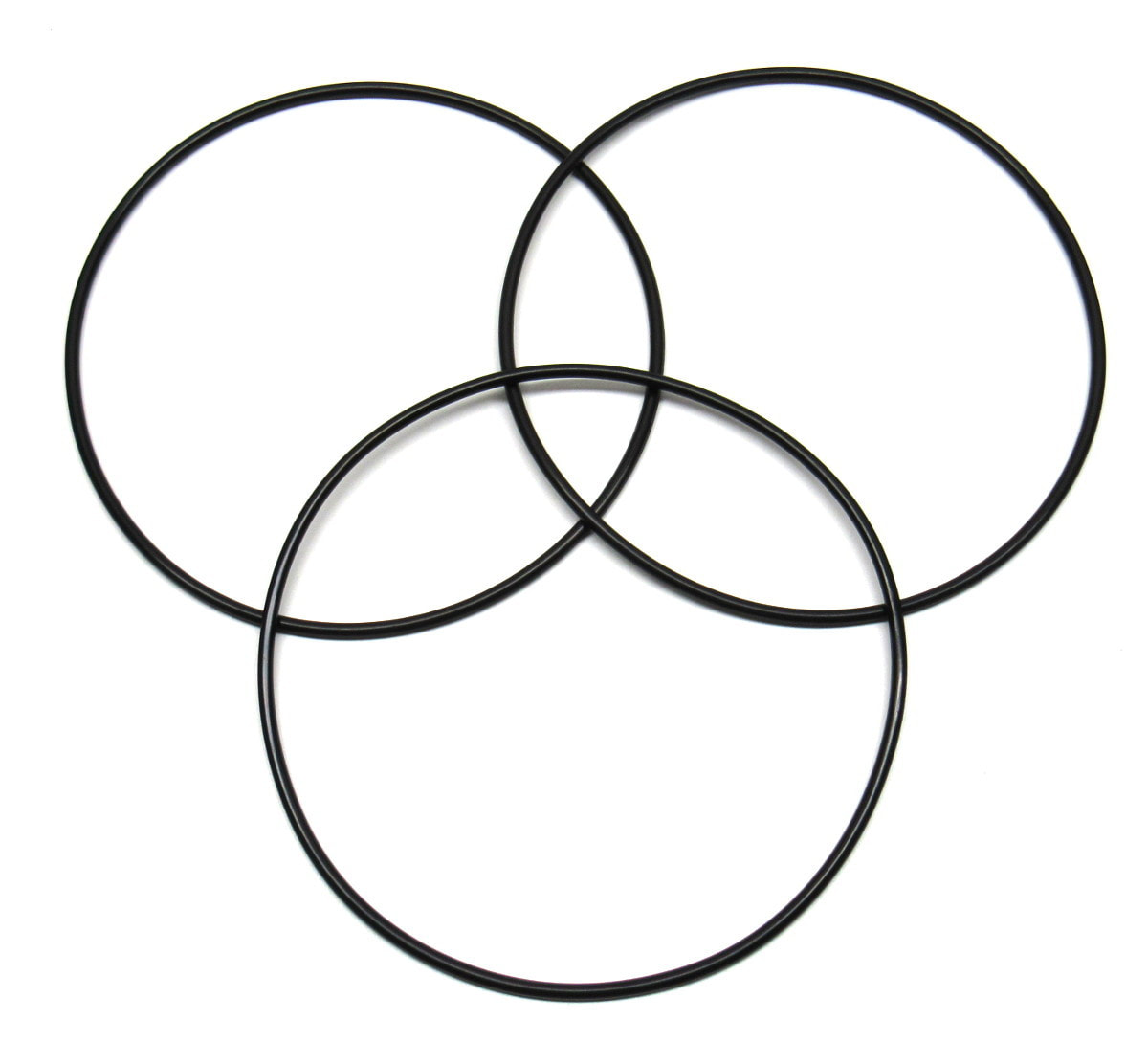 Pentek 151362 Big Clear O-Rings (3 Pack)